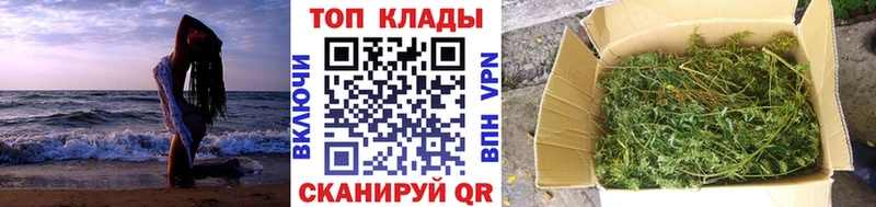 Купить закладку ГАШ Альфа ПВП Меф мяу мяу Багратионовск