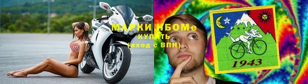 стафф Дмитров