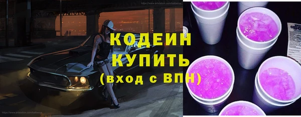 прущие крисы Ельня