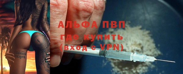 стафф Дмитров