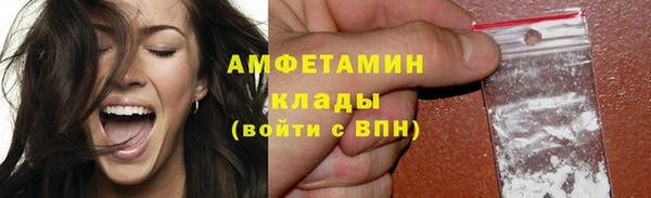 мет Дмитриев