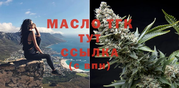 мет Дмитриев