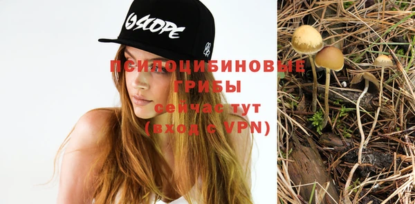 прущая мука Дмитровск
