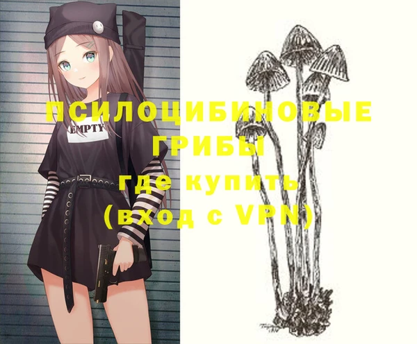 стафф Дмитров