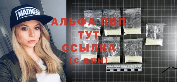 стафф Дмитров
