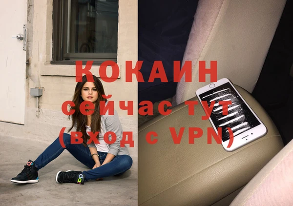 мет Дмитриев