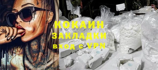 стафф Дмитров