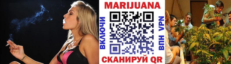 Каннабис конопля Багратионовск